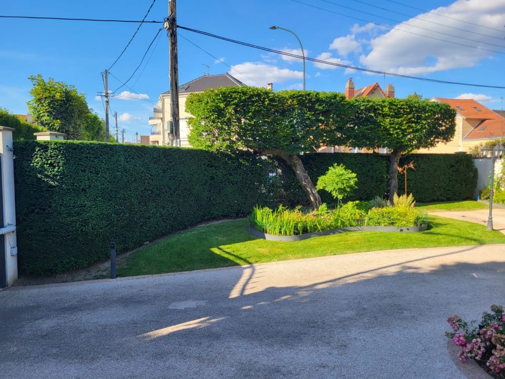 134babea 52dc 438c 82e3 A232cdc8ebac 1 1024x768