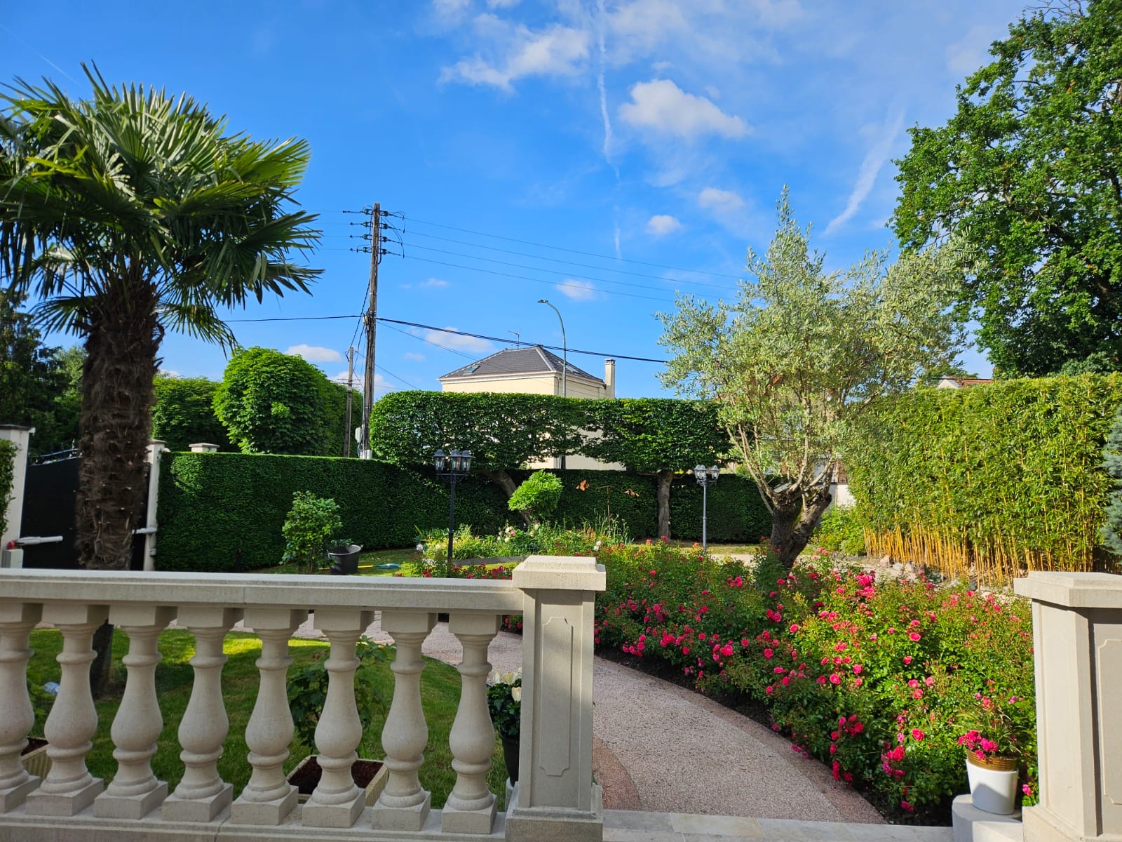 Services 40e5cef8 F3e1 4226 8c43 59d95b846437 1