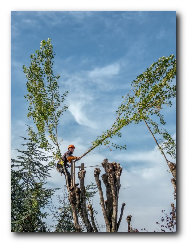 78ed9c4f-ac29-4083-92c4-1cd68b8a23b6 78ed9c4f Ac29 4083 92c4 1cd68b8a23b6 791x1024