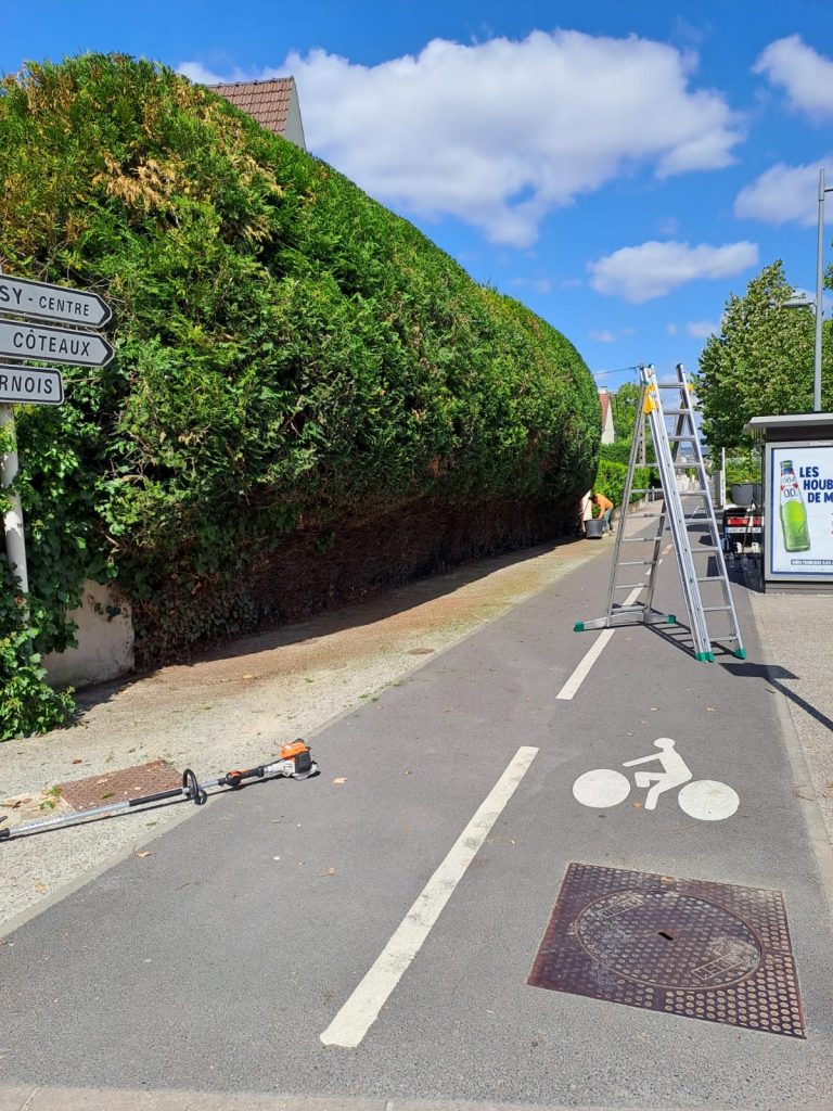 B4008cbc 981b 44b7 997a 38616589bacb 1 768x1024